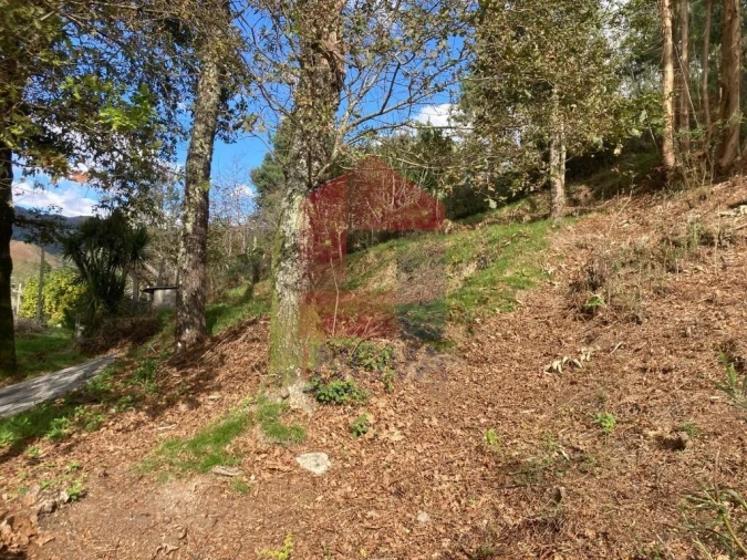 Terreno para Venda em Valdreu Foto 8