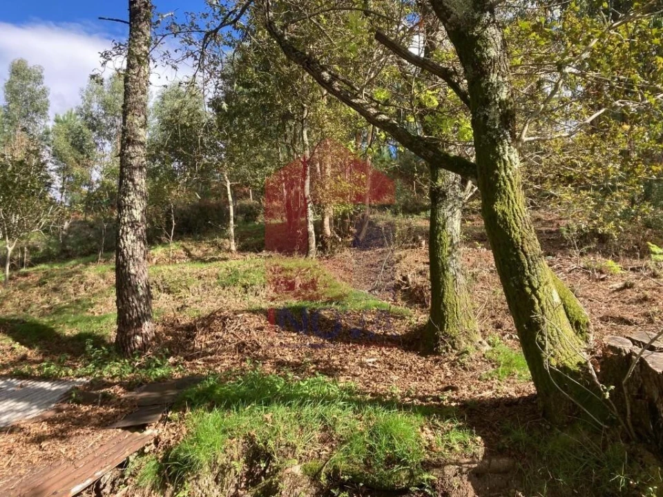 Terreno para Venda em Valdreu Foto 9