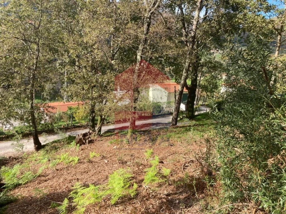 Terreno para Venda em Valdreu Foto 7