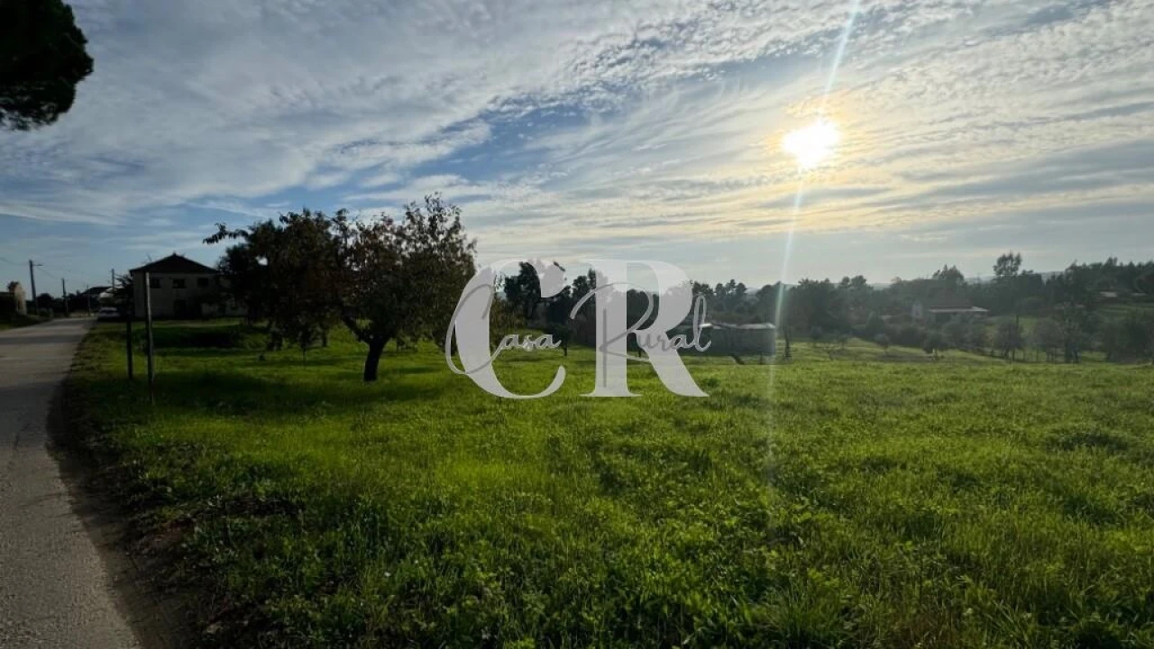 Terreno para Venda em Graça Foto 1