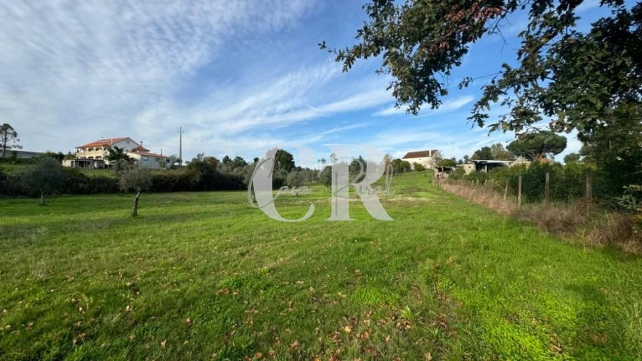 Terreno para Venda em Graça Foto 8