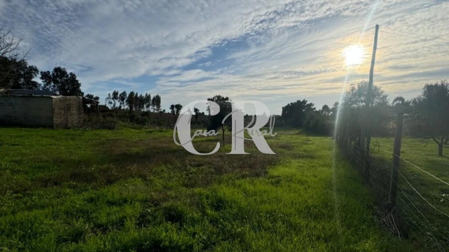 Terreno para Venda em Graça Foto 6