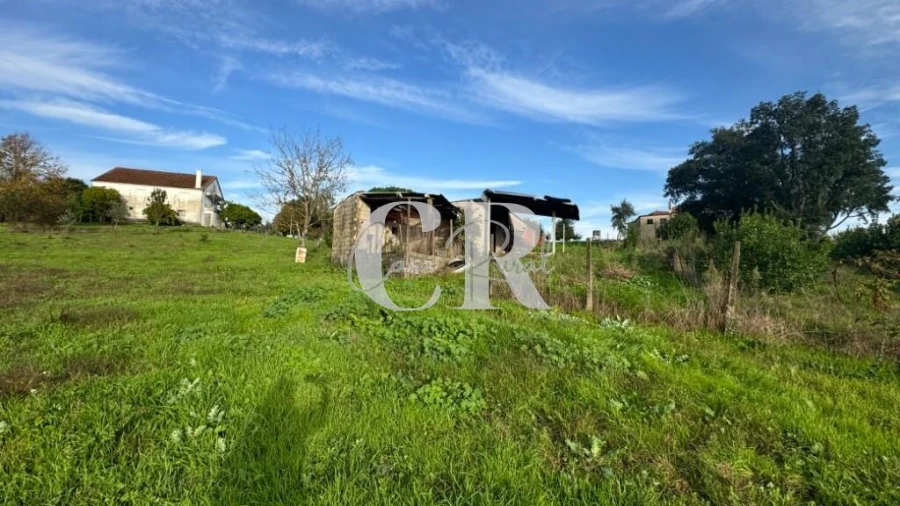 Terreno para Venda em Graça Foto 9