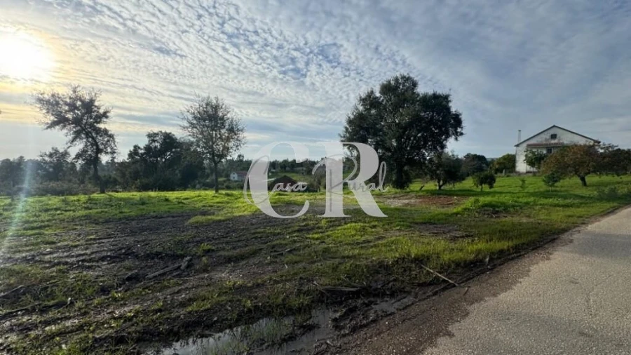 Terreno para Venda em Graça Foto 2