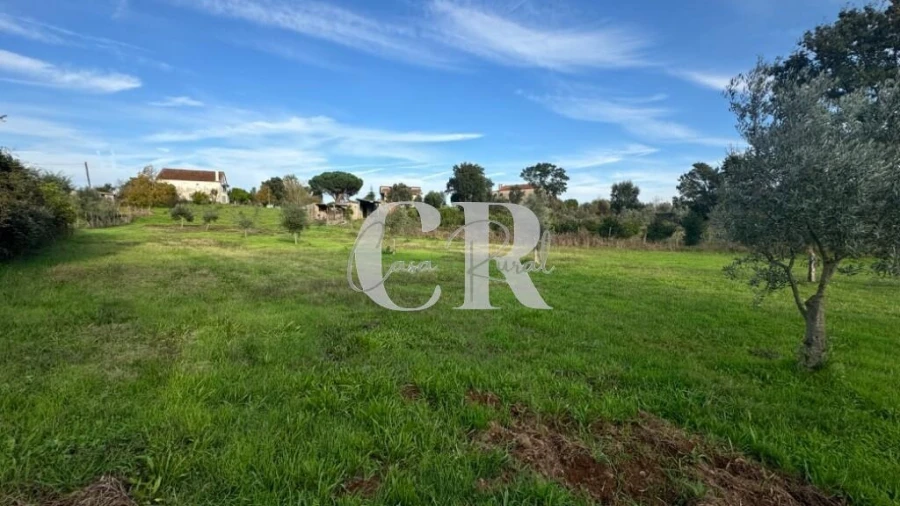 Terreno para Venda em Graça Foto 7
