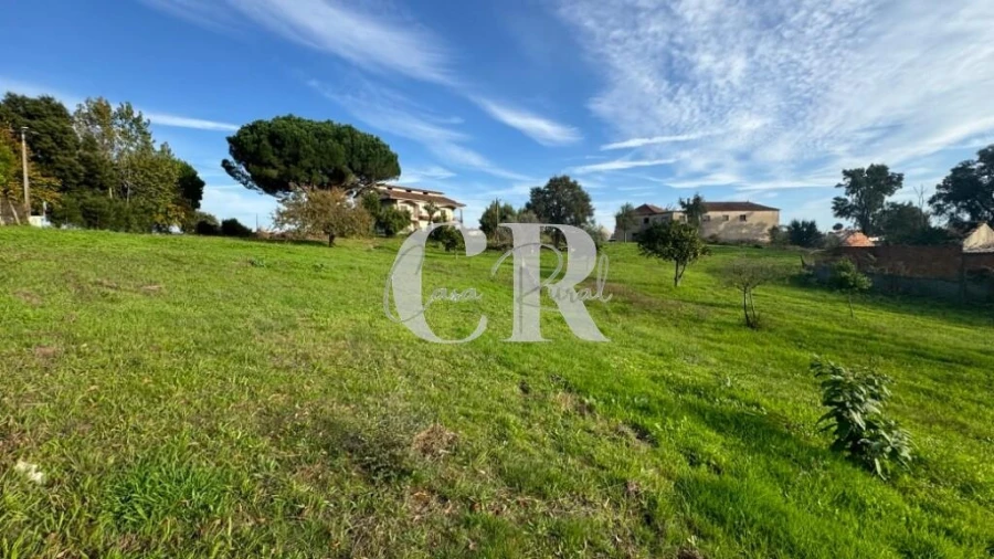 Terreno para Venda em Graça Foto 4