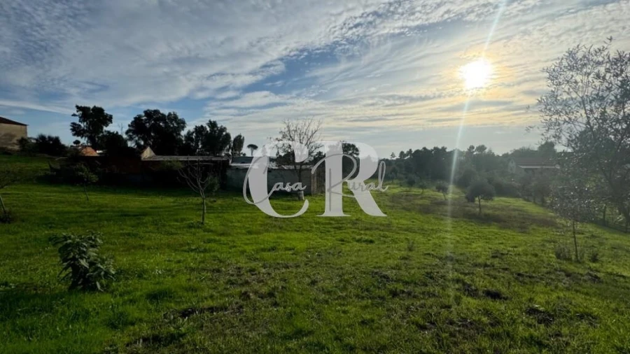 Terreno para Venda em Graça Foto 5