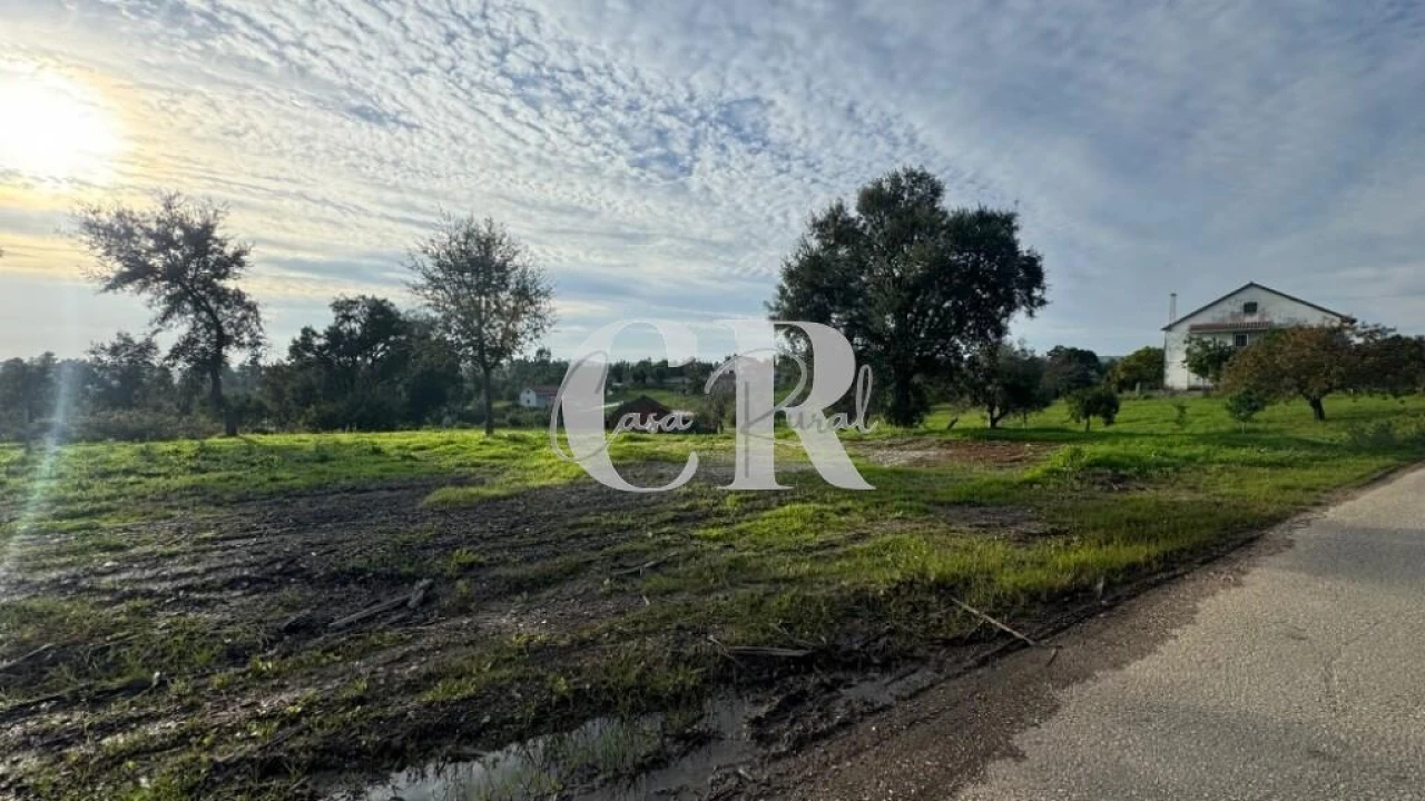 Terreno para Venda em Graça Foto 2