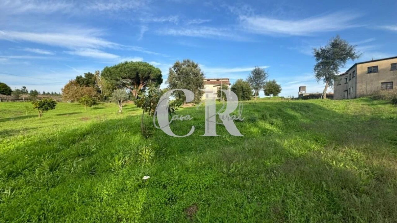 Terreno para Venda em Graça Foto 10