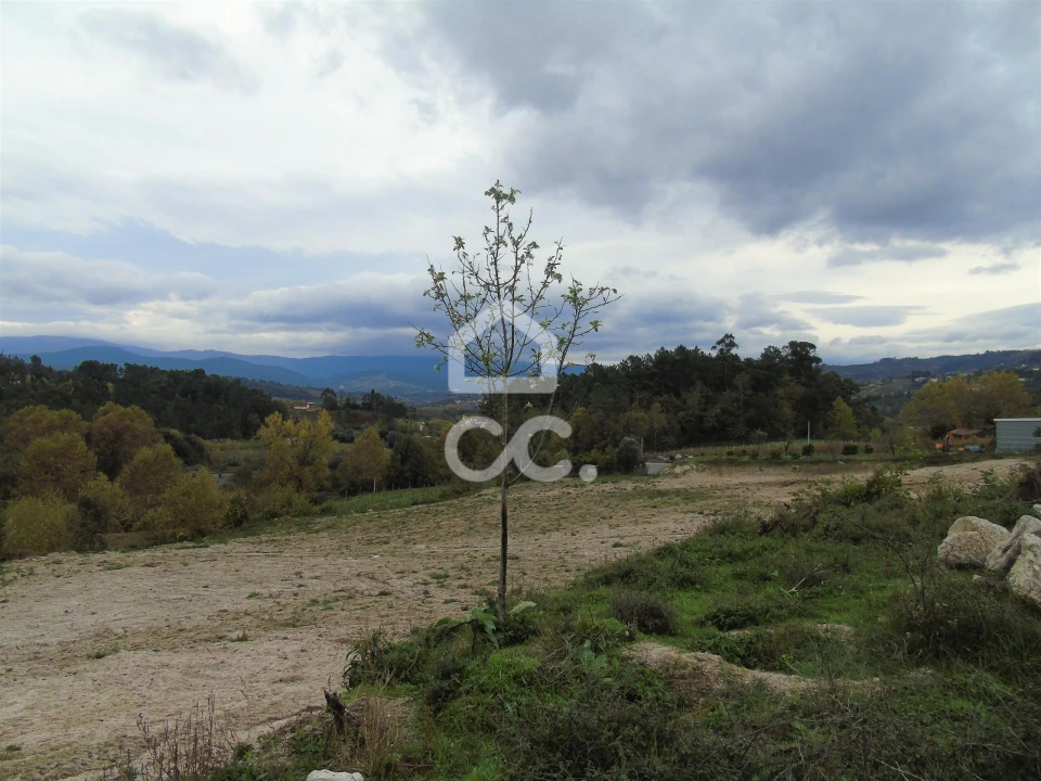 Quinta para Venda em Vale de Bouro Foto 21