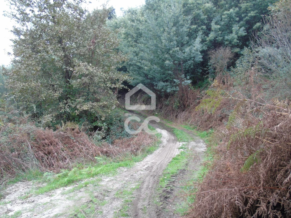 Quinta para Venda em Vale de Bouro Foto 23