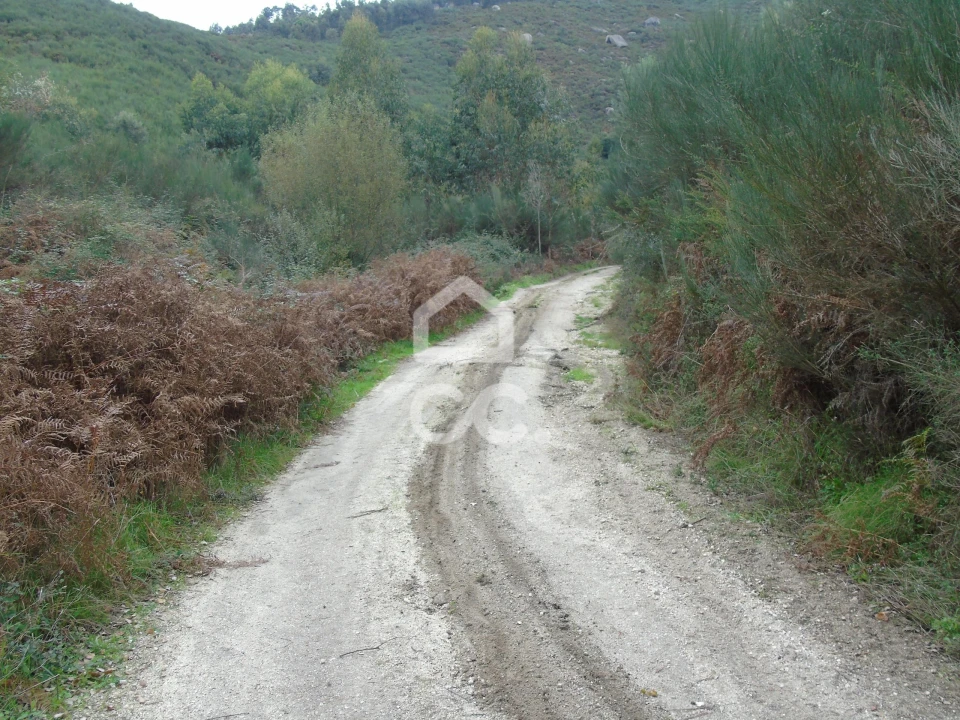 Quinta para Venda em Vale de Bouro Foto 24