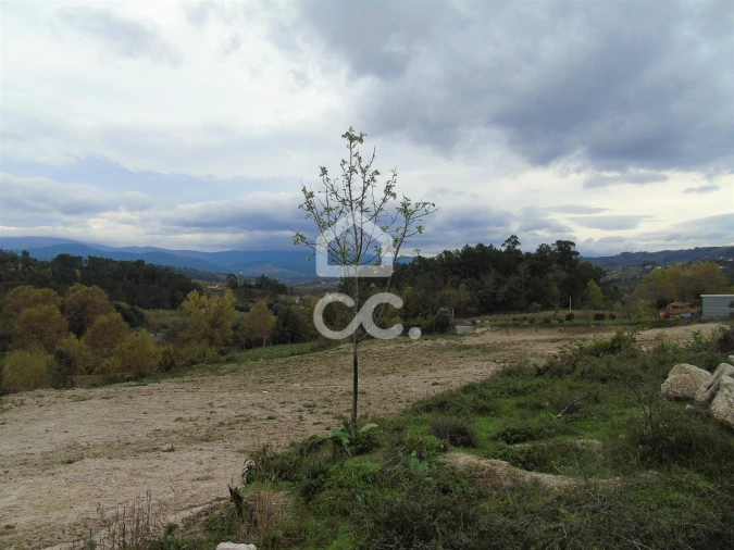 Quinta para Venda em Vale de Bouro Foto 21