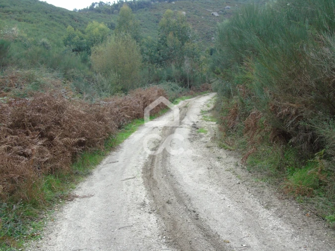 Quinta para Venda em Vale de Bouro Foto 24