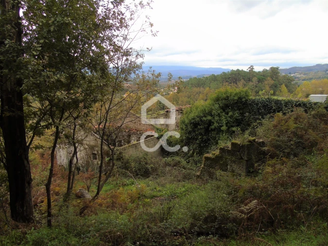 Quinta para Venda em Vale de Bouro Foto 9