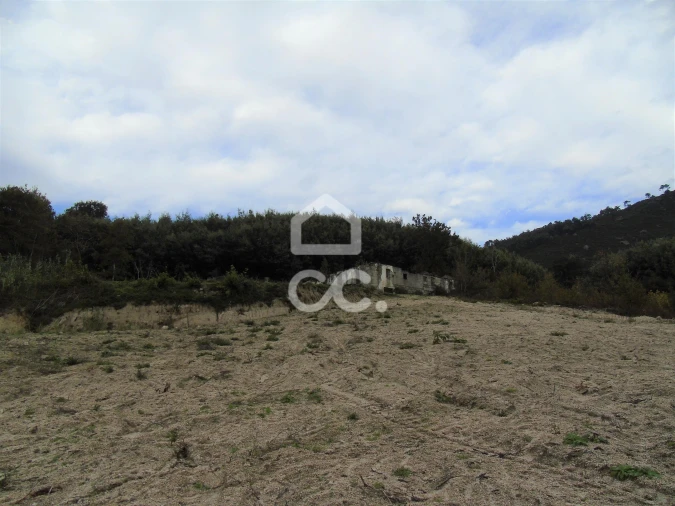 Quinta para Venda em Vale de Bouro Foto 15