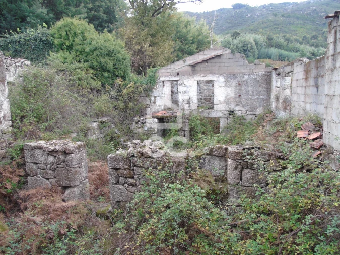 Quinta para Venda em Vale de Bouro Foto 8