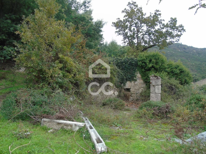 Quinta para Venda em Vale de Bouro Foto 10