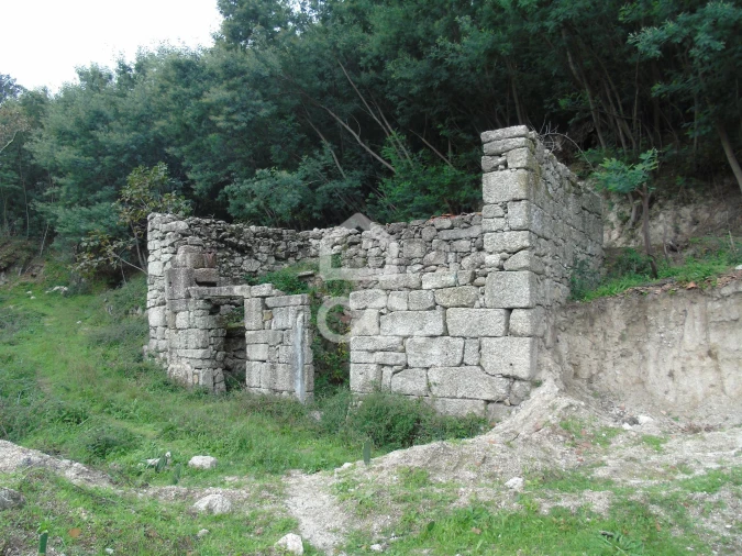 Quinta para Venda em Vale de Bouro Foto 13