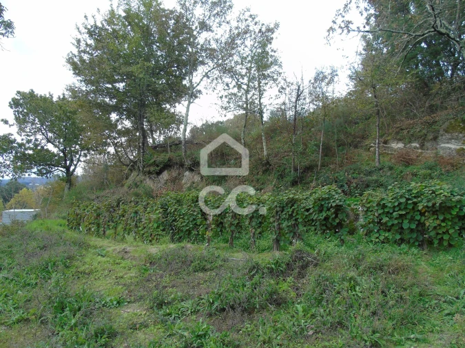 Quinta para Venda em Vale de Bouro Foto 20