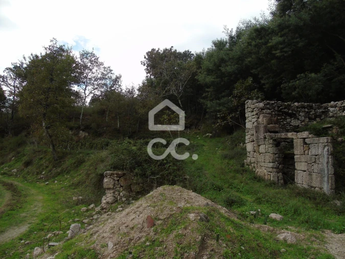 Quinta para Venda em Vale de Bouro Foto 12