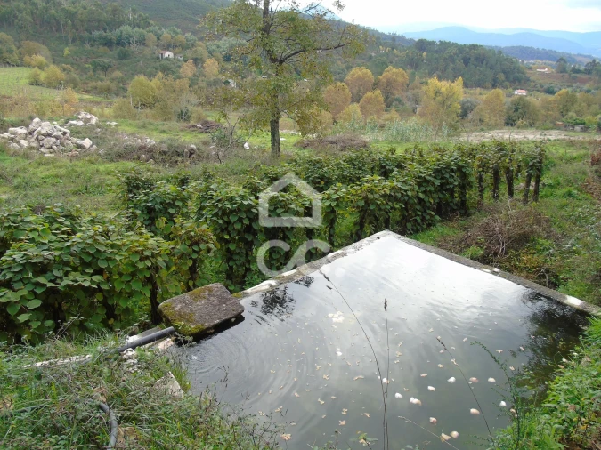 Quinta para Venda em Vale de Bouro Foto 14