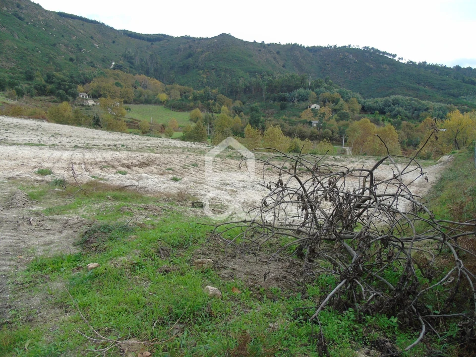 Quinta para Venda em Vale de Bouro Foto 16