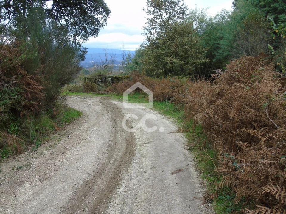 Quinta para Venda em Vale de Bouro Foto 25