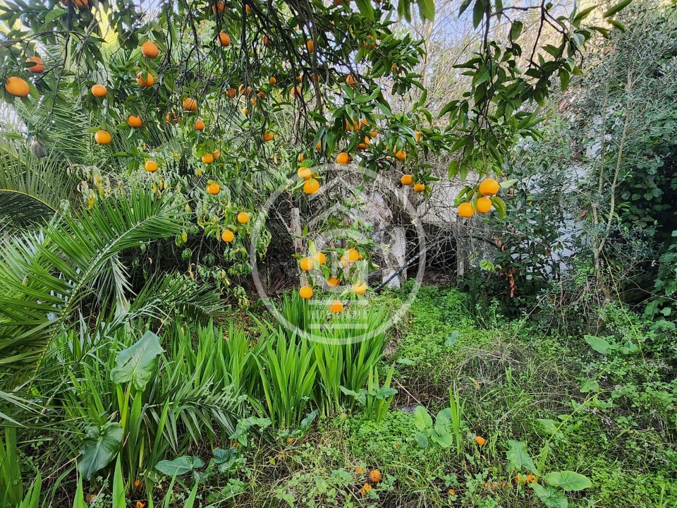 Moradia T3 para Venda em Alpiarça Foto 11