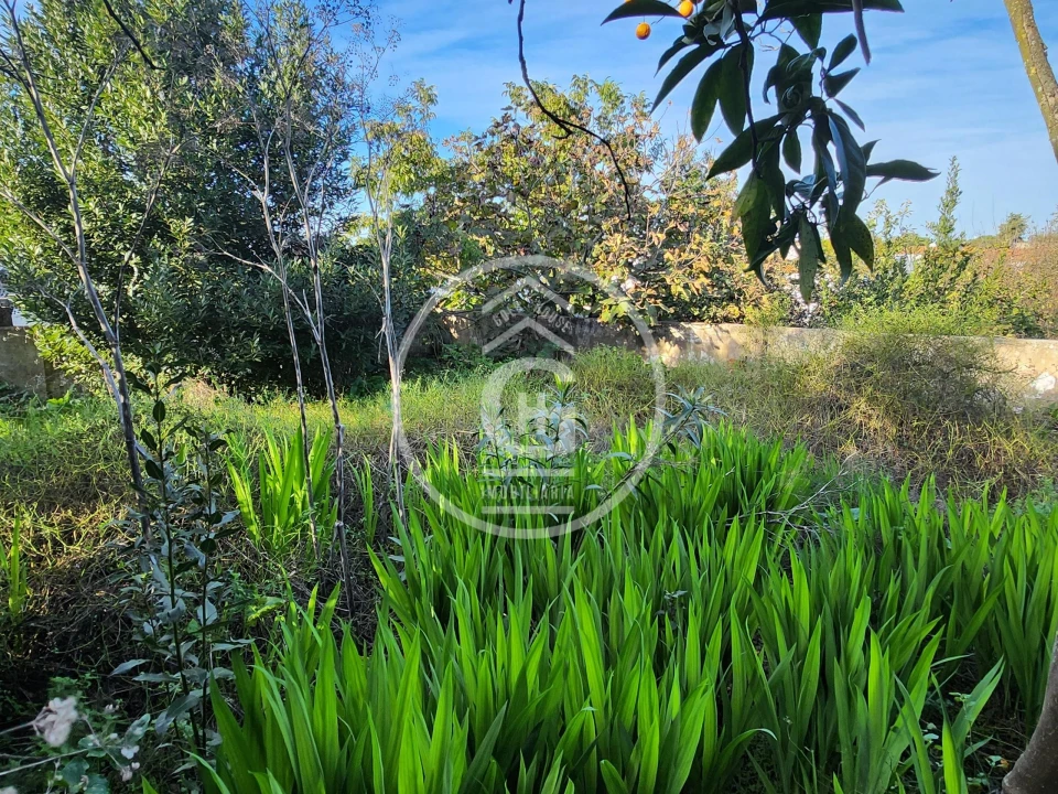 Moradia T3 para Venda em Alpiarça Foto 10