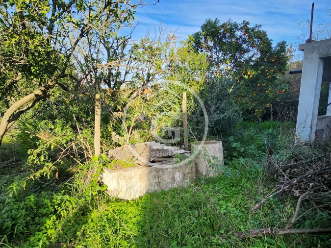 Moradia T3 para Venda em Alpiarça Foto 8