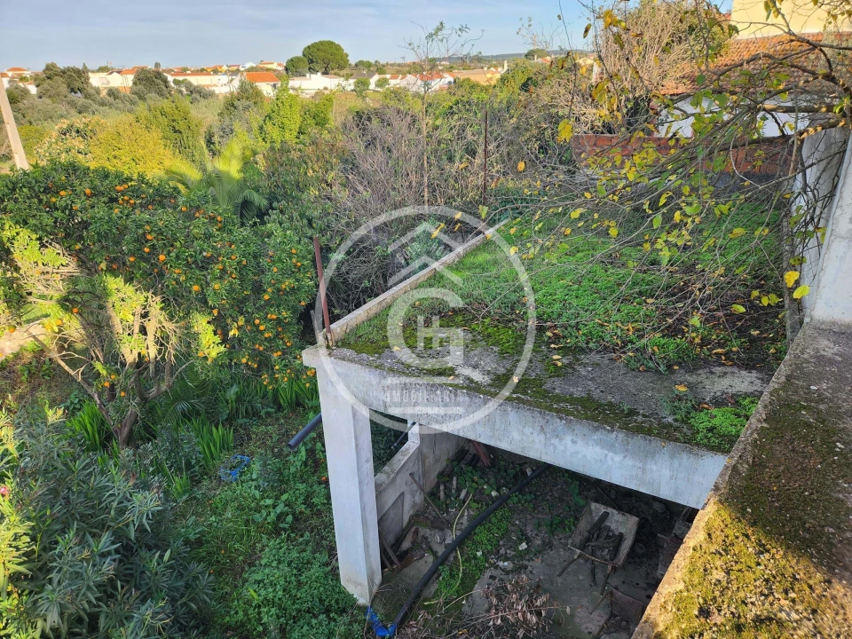 Moradia T3 para Venda em Alpiarça Foto 24