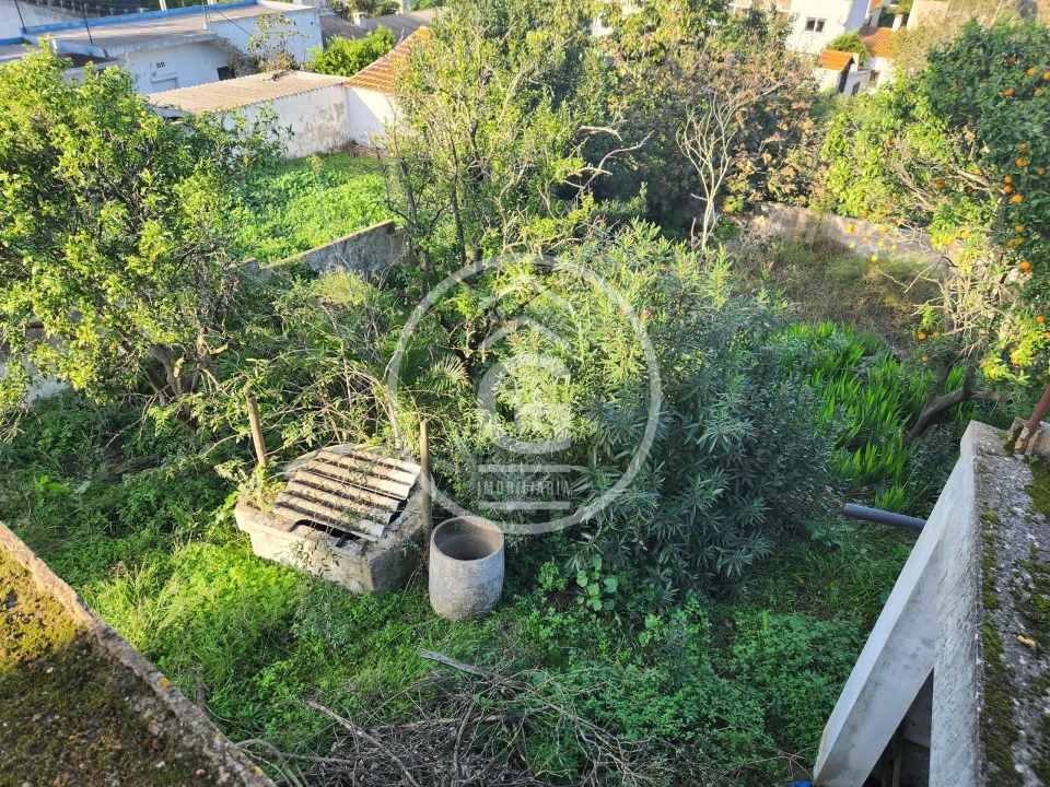 Moradia T3 para Venda em Alpiarça Foto 25