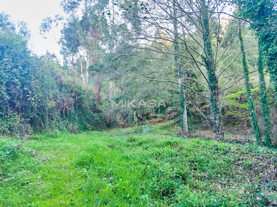 Terreno Agricola ou Rústico para Venda em Marmelete Foto 6