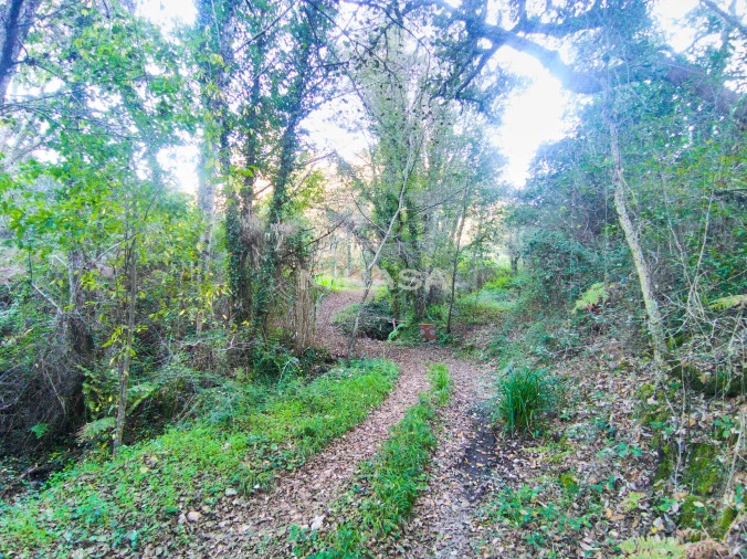 Terreno Agricola ou Rústico para Venda em Marmelete Foto 4