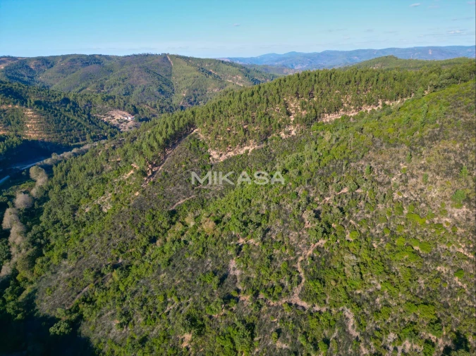 Terreno Agricola ou Rústico para Venda em Marmelete Foto 10