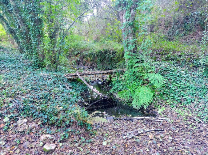 Terreno Agricola ou Rústico para Venda em Marmelete Foto 3