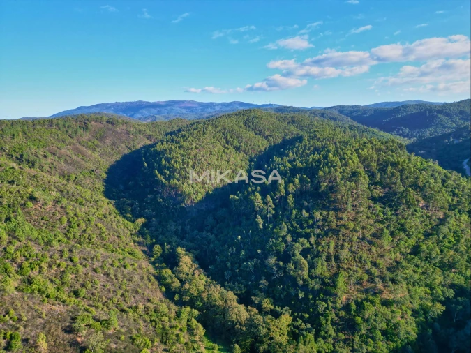 Terreno Agricola ou Rústico para Venda em Marmelete Foto 12