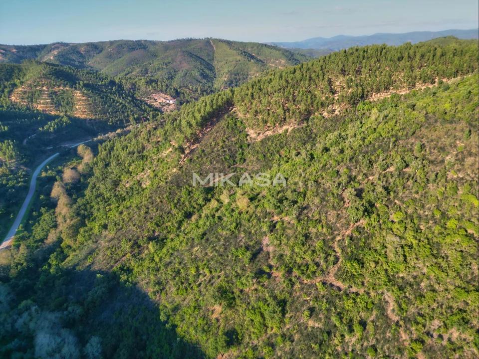 Terreno Agricola ou Rústico para Venda em Marmelete Foto 14