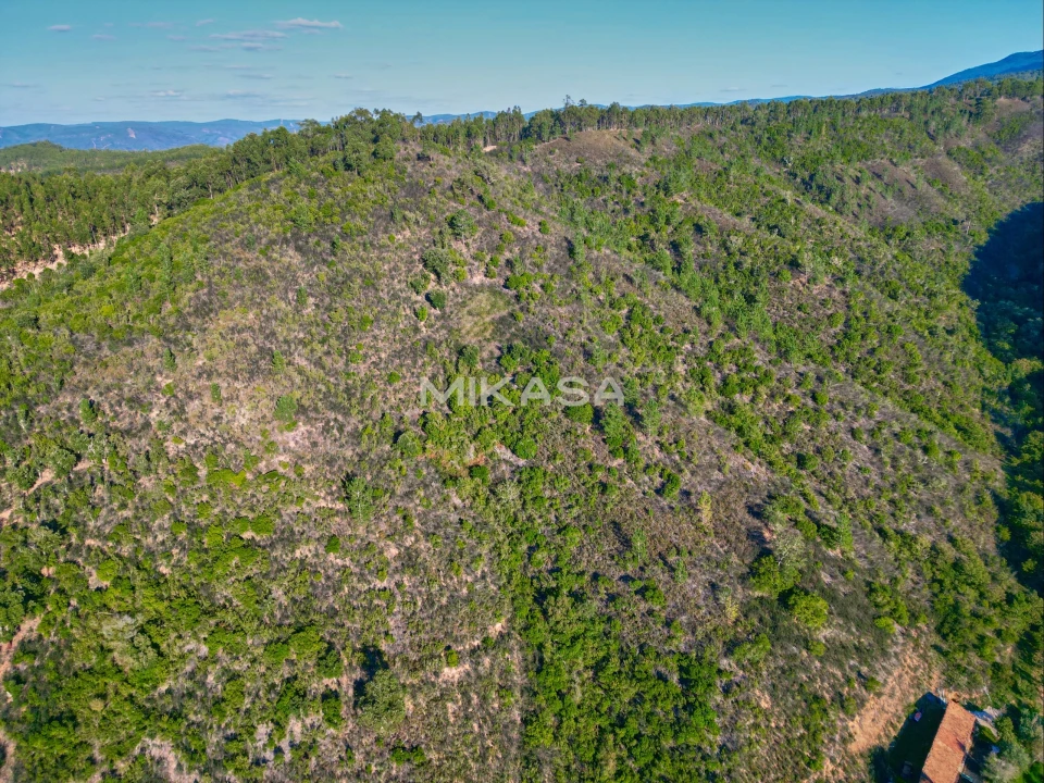 Terreno Agricola ou Rústico para Venda em Marmelete Foto 8