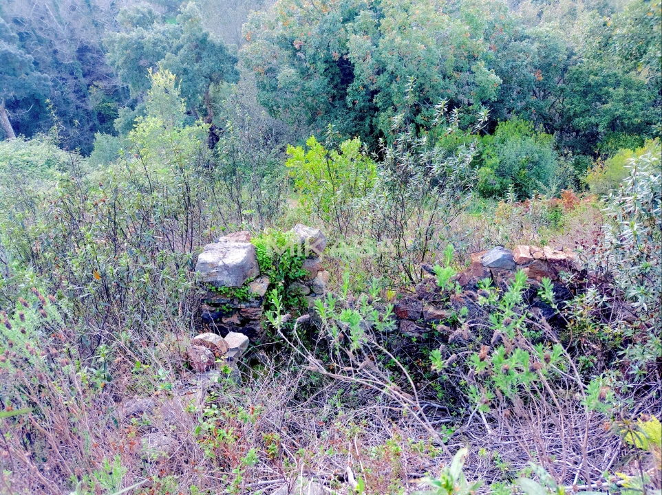 Terreno Agricola ou Rústico para Venda em Marmelete Foto 5