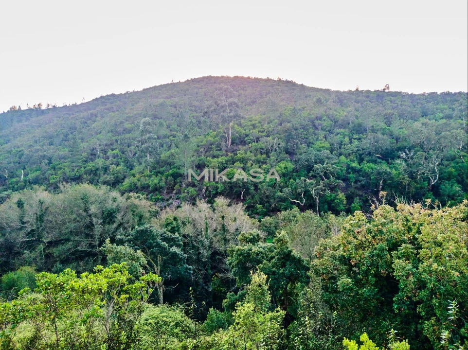 Terreno Agricola ou Rústico para Venda em Marmelete Foto 9
