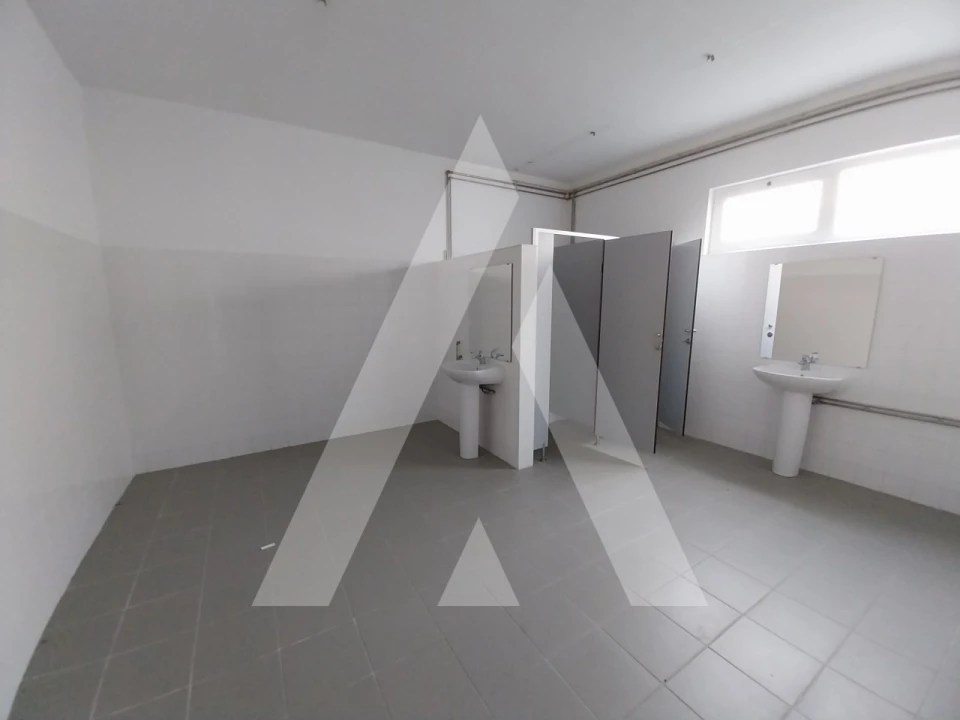 Armazém para Venda em Oliveira de Frades, Souto de Lafões e Sejães Foto 19