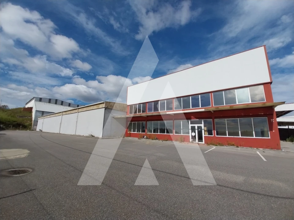 Armazém para Venda em Oliveira de Frades, Souto de Lafões e Sejães Foto 50