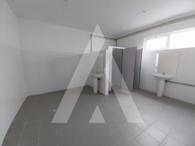 Armazém para Venda em Oliveira de Frades, Souto de Lafões e Sejães Foto 19