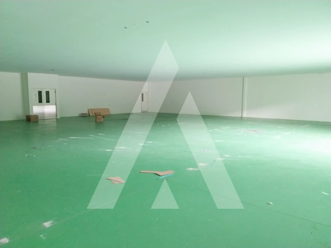 Armazém para Venda em Oliveira de Frades, Souto de Lafões e Sejães Foto 27