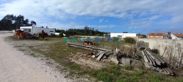 Terreno para Venda em Monte Real e Carvide