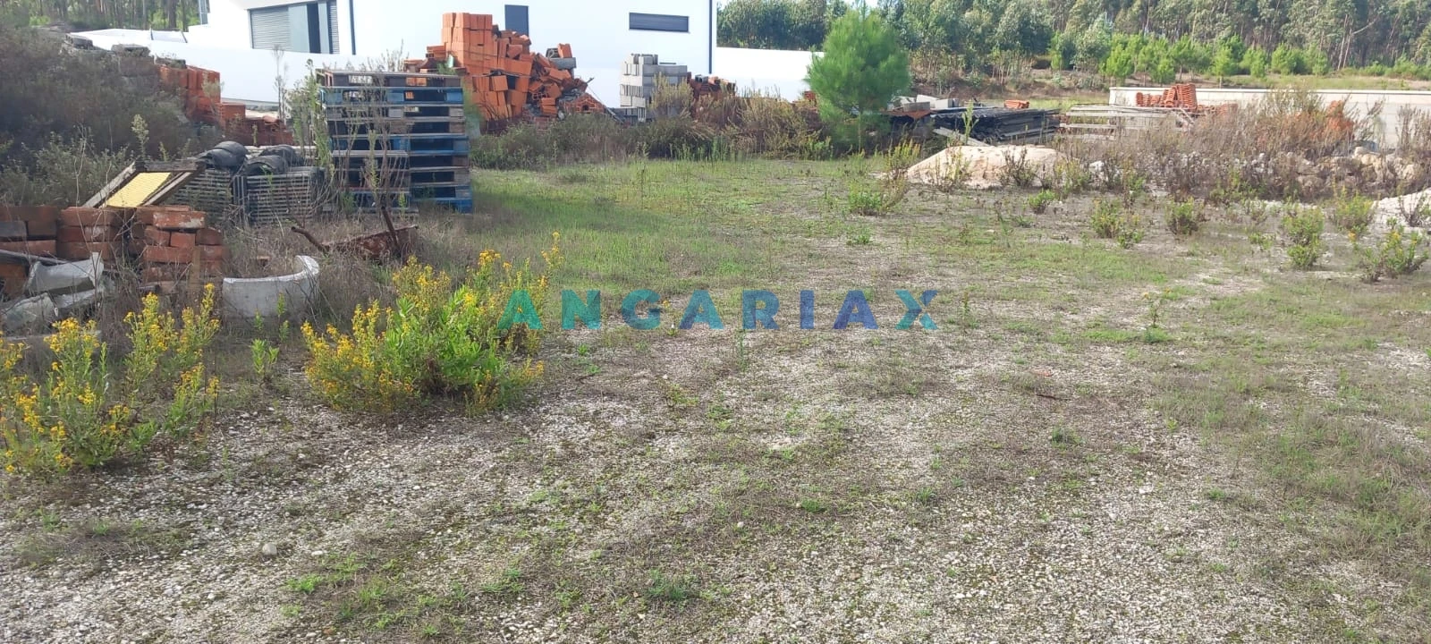 Terreno para Venda em Monte Real e Carvide Foto 2