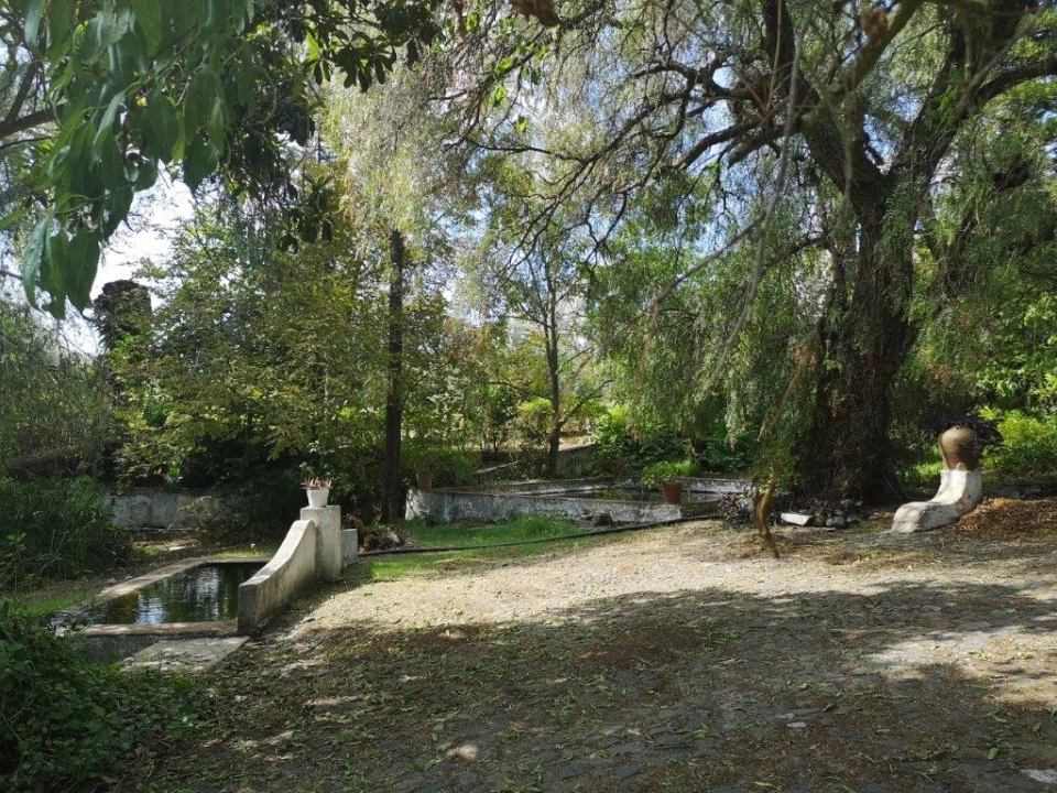 Terreno para Venda em Beja (Santiago Maior e São João Baptista) Foto 105