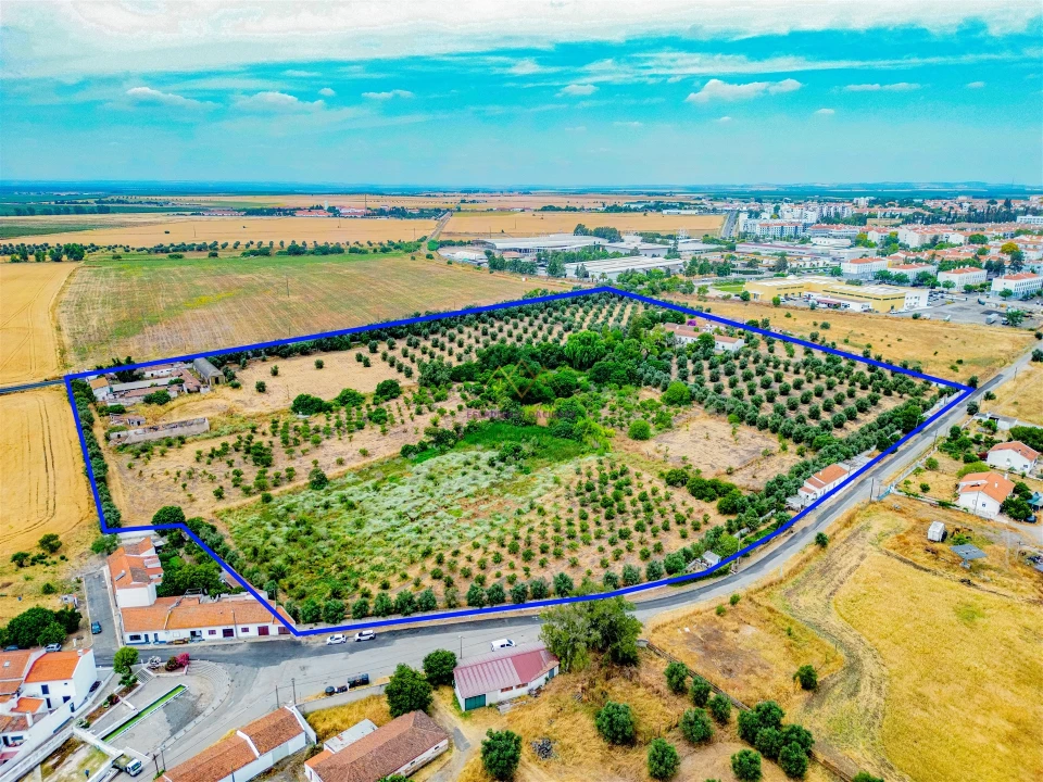 Terreno para Venda em Beja (Santiago Maior e São João Baptista) Foto 5